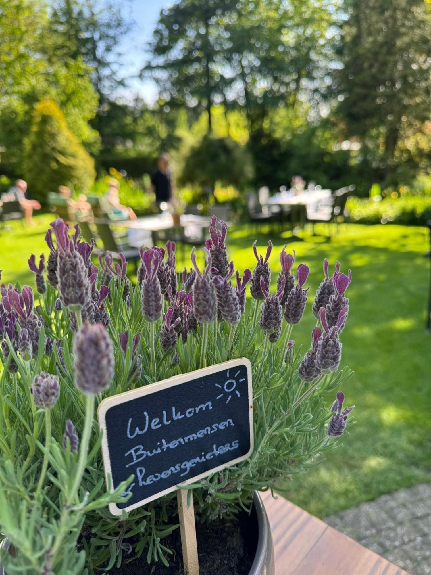 Witte Berken Natuurhotel Epe Luaran gambar